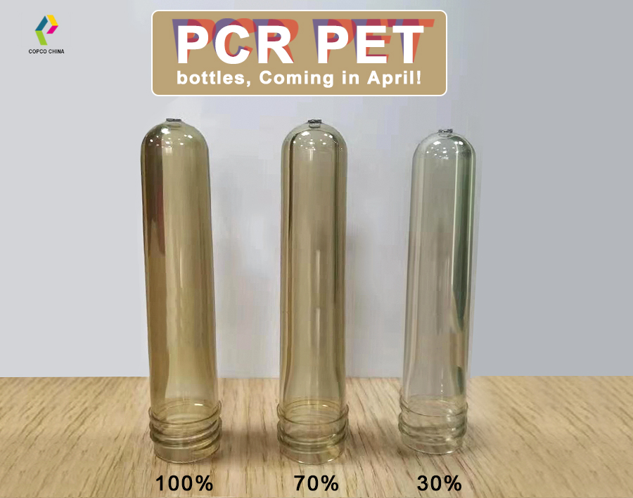 PCR-1.jpg